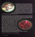 Journey_into_The_Black_Hole_04.jpg