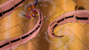 Filename=Hot_Rod_Screencap_200.png
Filesize=3939KiB
Dimensions=1920x1080
Date added=Oct 29, 2017 Hot_Rod_Screencap_200.png