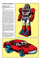 Windcharger_Character_Bio.jpg