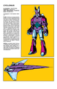 Cyclonus_Character_Bio.jpg