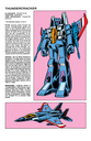 Thundercracker_Character_Bio.jpg