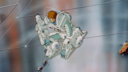 Filename=Daniel_Witwicky_Screencap_062.png
Filesize=3924KiB
Dimensions=1920x1080
Date added=Nov 04, 2017 Daniel_Witwicky_Screencap_062.png
