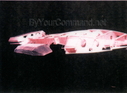 Filename=Battlestar_Original_Miniature_under_Construction_15.jpg
Filesize=157KiB
Dimensions=1410x1035
Date added=Jun 26, 2015 Battlestar_Original_Miniature_under_Construction_15.jpg