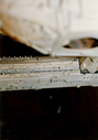 Battlestar_Original_Miniature_025.jpg