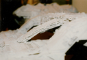 Battlestar_Original_Miniature_254.jpg