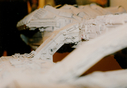 Battlestar_Original_Miniature_255.jpg