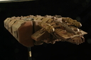 Filename=Gemini_Freighter_Original_Miniature_06.JPG
Filesize=1483KiB
Dimensions=3072x2048
Date added=Jul 01, 2017 Gemini_Freighter_Original_Miniature_06.JPG