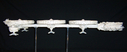 Mineral_Ship_Studio_Scale_Replica_38.jpg
