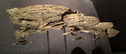 Filename=Mineral_Ship_Studio_Scale_Replica_53.jpg
Filesize=176KiB
Dimensions=1440x618
Date added=Nov 08, 2015 Mineral_Ship_Studio_Scale_Replica_53.jpg