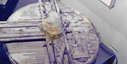 Filename=Mineral_Ship_Original_Miniature_06.jpg
Filesize=104KiB
Dimensions=1048x529
Date added=Jan 12, 2019 Mineral_Ship_Original_Miniature_06.jpg