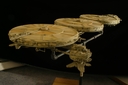 Mineral_Ship_Original_Miniature_09.jpg