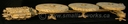 Filename=Mineral_Ship_Original_Miniature_11.jpg
Filesize=47KiB
Dimensions=1471x276
Date added=Jan 12, 2019 Mineral_Ship_Original_Miniature_11.jpg