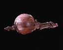 Filename=Unused_Prison_Barge_Promo.png
Filesize=131KiB
Dimensions=2048x1638
Date added=Nov 01, 2019 Unused_Prison_Barge_Promo.png