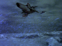 Filename=Viper_Screencap_087.png
Filesize=3277KiB
Dimensions=1440x1080
Date added=Nov 20, 2015 Viper_Screencap_087.png