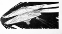 Filename=Basestar_Concept_Art_15.jpg
Filesize=224KiB
Dimensions=1720x960
Date added=Jun 04, 2017 Basestar_Concept_Art_15.jpg