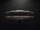 Filename=Basestar_Studio_Scale_Replica_77.jpg
Filesize=151KiB
Dimensions=640x480
Date added=Nov 26, 2015 Basestar_Studio_Scale_Replica_77.jpg