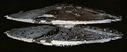 Filename=Basestar_Promo_02.jpg
Filesize=387KiB
Dimensions=1457x597
Date added=Aug 16, 2016 Basestar_Promo_02.jpg