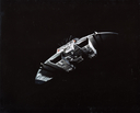 Filename=Raider_Promo_20.jpg
Filesize=3142KiB
Dimensions=6500x5236
Date added=Nov 24, 2019 Raider_Promo_20.jpg