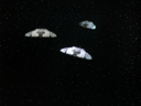 Filename=Raider_Screencap_080.png
Filesize=871KiB
Dimensions=1440x1080
Date added=Oct 24, 2014 Raider_Screencap_080.png