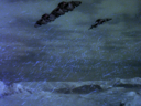 Filename=Raider_Screencap_085.png
Filesize=3588KiB
Dimensions=1440x1080
Date added=Oct 24, 2014 Raider_Screencap_085.png