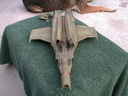 Eastern_Alliance_Destroyer_Original_Miniature_67.jpg