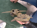 Eastern_Alliance_Destroyer_Original_Miniature_81.jpg
