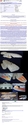 Filename=eBay_BSG_Mattel_Galactica_Command_Ship.jpg
Filesize=619KiB
Dimensions=459x2044
Date added=Aug 21, 2015 eBay_BSG_Mattel_Galactica_Command_Ship.jpg